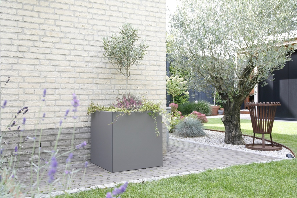 Plantbak Connect Supra Bruin | 2 hoogtes en diverse afmetingen (kopie)