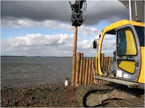 Cloeziana rondhout | 4 maten &amp; 4 lengtes