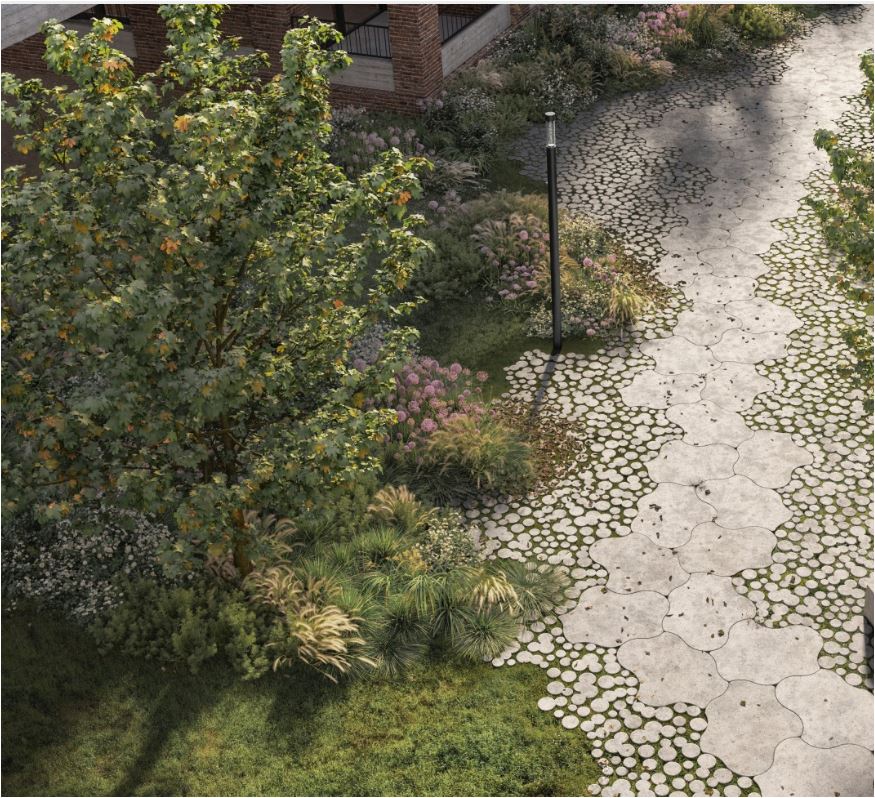 Deer Concrete | Organic Lily Klein