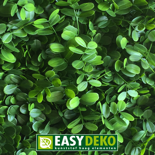 Easydeko kunsthaag Ficus Microcarpa per m²