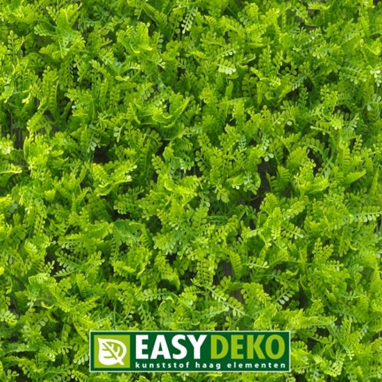 Easydeko Kunsthaag Asplenium Viride per m²