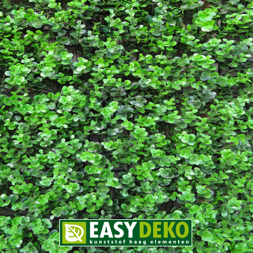 Easydeko Kunsthaag Buxus grof donker per m²