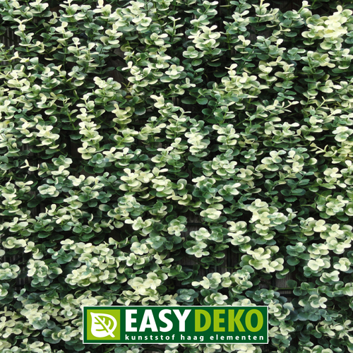 Easydeko Kunsthaag Buxus grof bont per m²